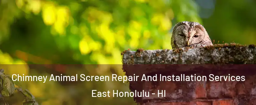  Chimney Animal Screen Repair And Installation Services East Honolulu - HI
