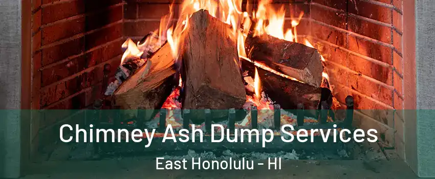  Chimney Ash Dump Services East Honolulu - HI