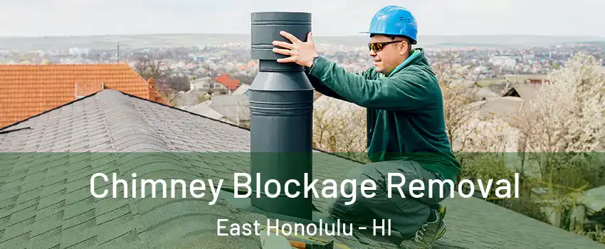  Chimney Blockage Removal East Honolulu - HI