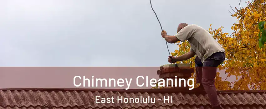  Chimney Cleaning East Honolulu - HI