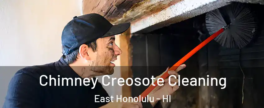  Chimney Creosote Cleaning East Honolulu - HI