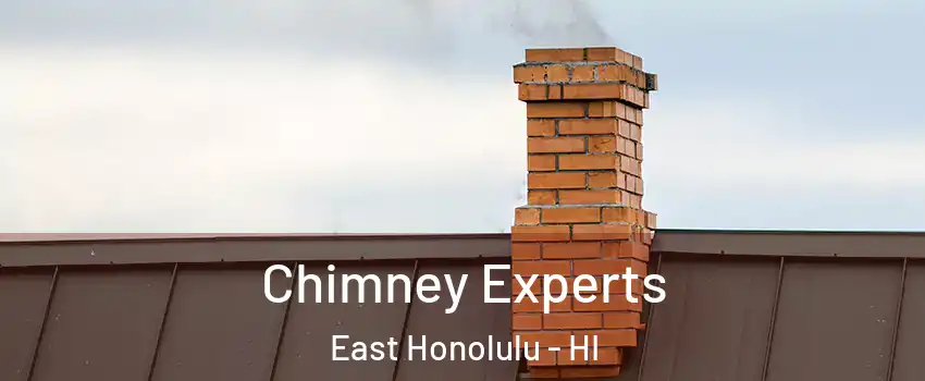 Chimney Experts East Honolulu - HI