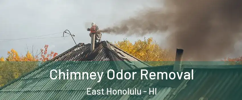  Chimney Odor Removal East Honolulu - HI