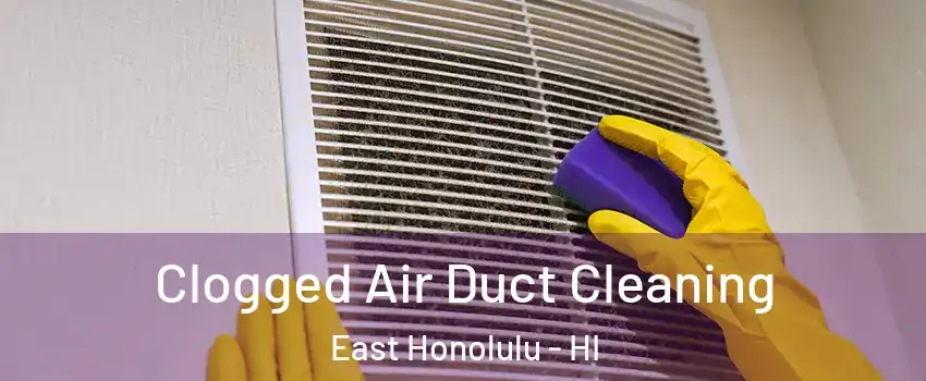  Clogged Air Duct Cleaning East Honolulu - HI