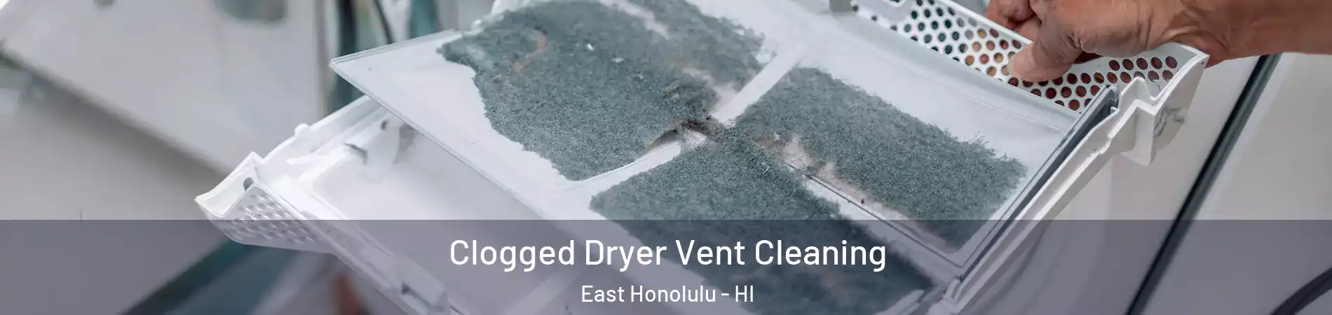  Clogged Dryer Vent Cleaning East Honolulu - HI