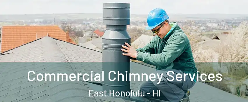  Commercial Chimney Services East Honolulu - HI