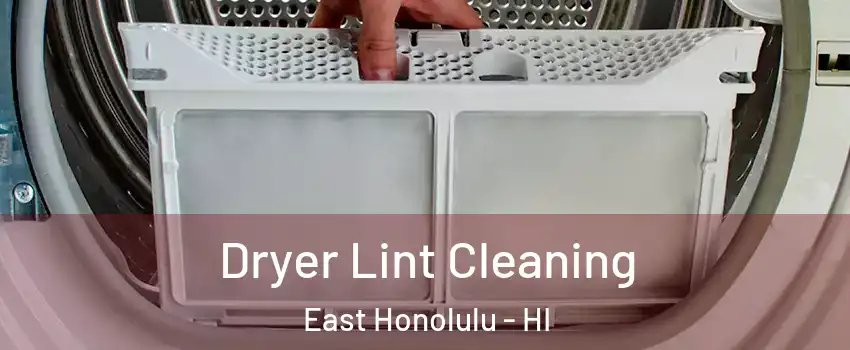  Dryer Lint Cleaning East Honolulu - HI