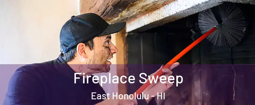  Fireplace Sweep East Honolulu - HI