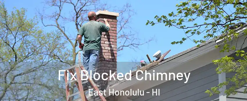  Fix Blocked Chimney East Honolulu - HI