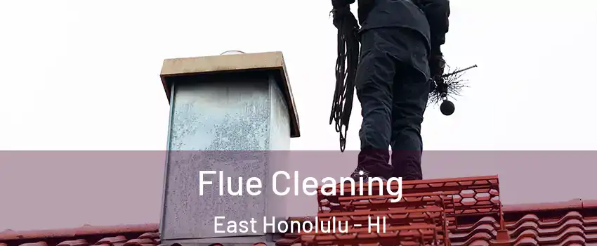 Flue Cleaning East Honolulu - HI