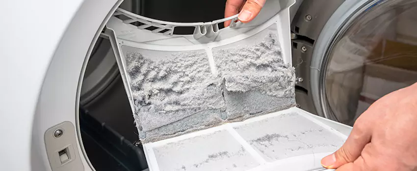 Best Dryer Lint Removal Company in East Honolulu, Hawaii