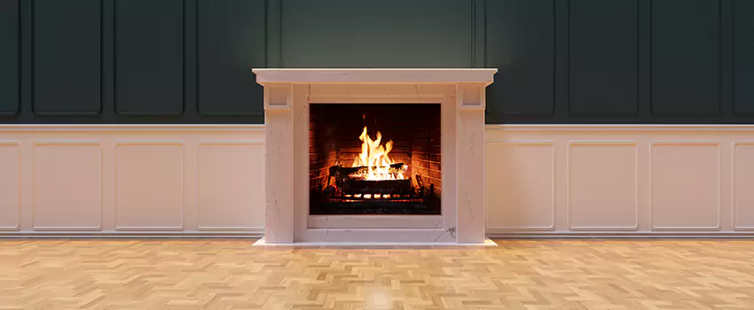 Napoleon Electric Fireplaces Inspection Service in East Honolulu, Hawaii