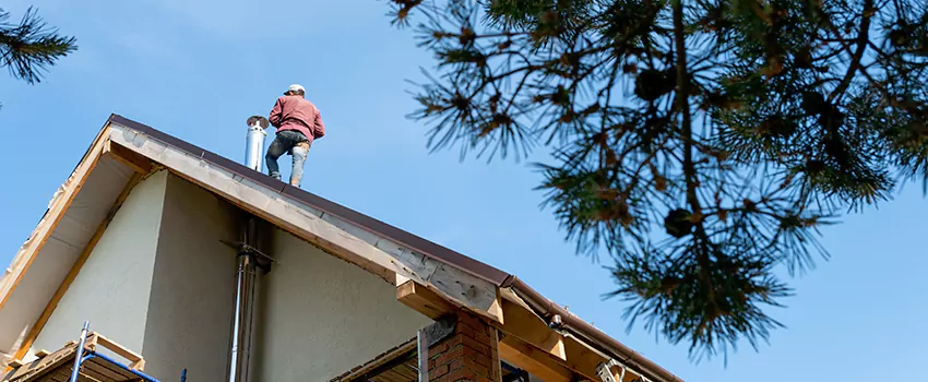 Birds Removal Contractors from Chimney in East Honolulu, HI