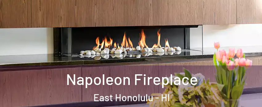  Napoleon Fireplace East Honolulu - HI